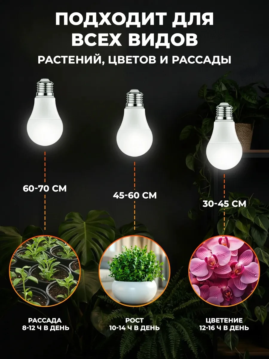 fl2-w_3