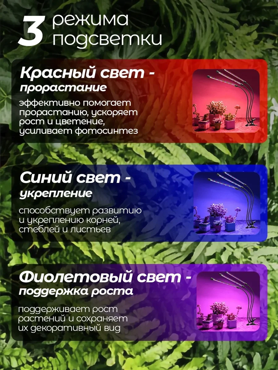 lg3-3_2