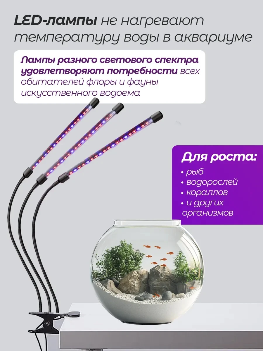 lg3-3_7