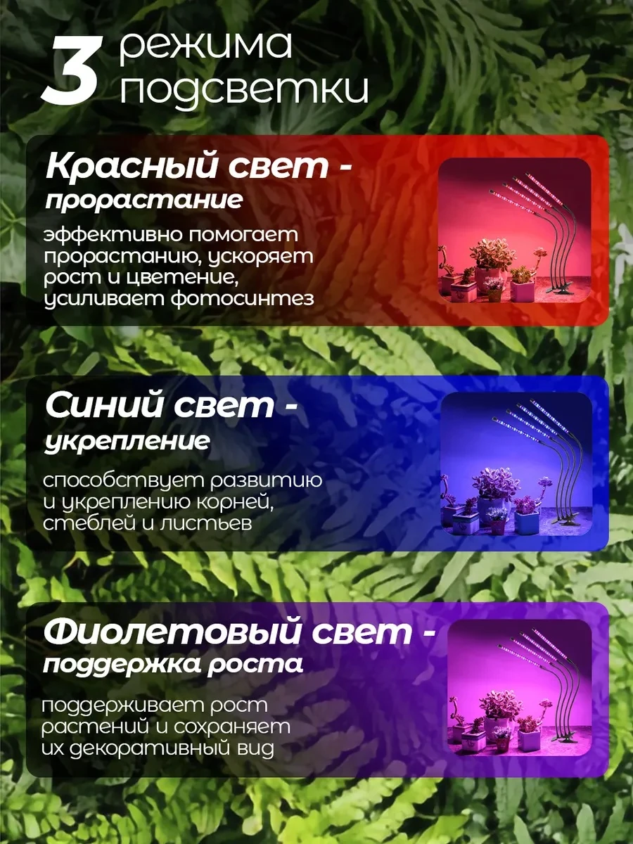 lg4-3_2