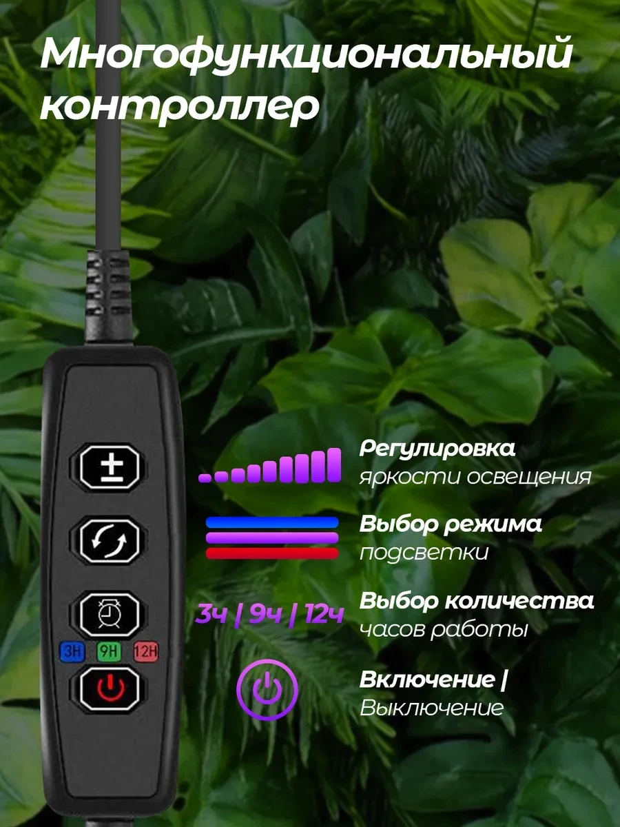 lg4-3_4