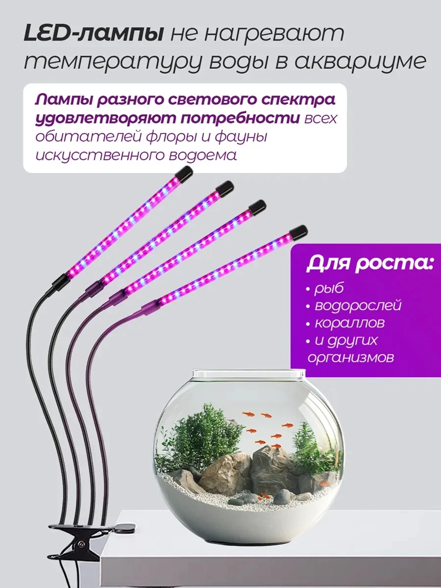 lg4-3_7