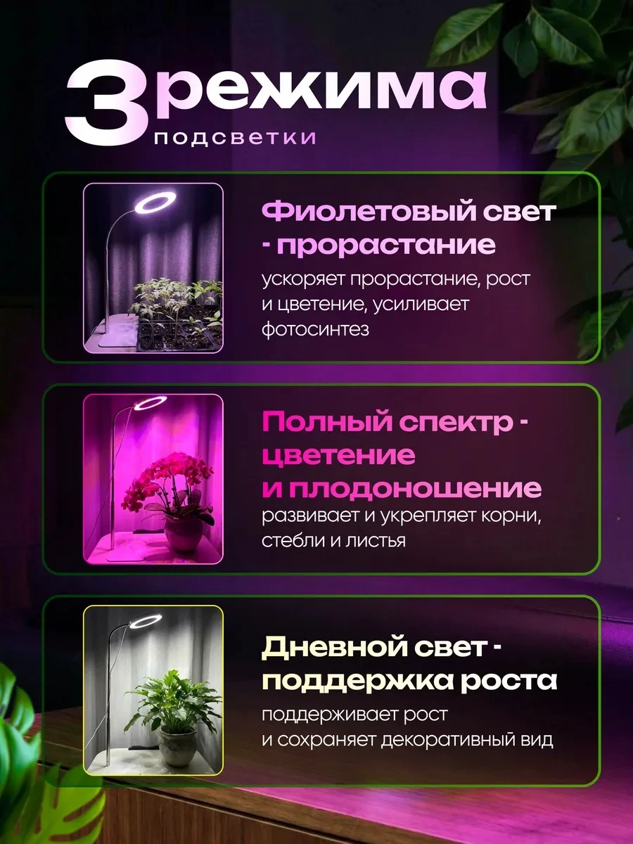 lg5-w_3