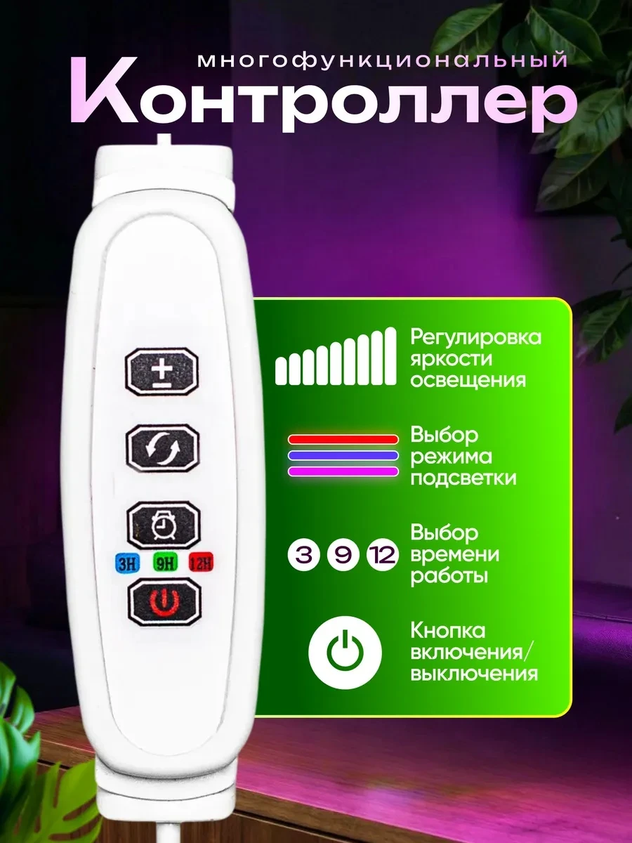 lg5-w_6