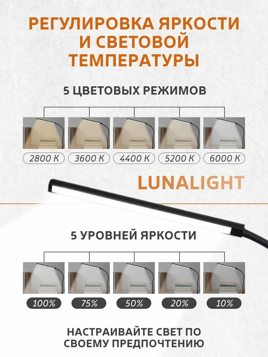 lt-b1_2