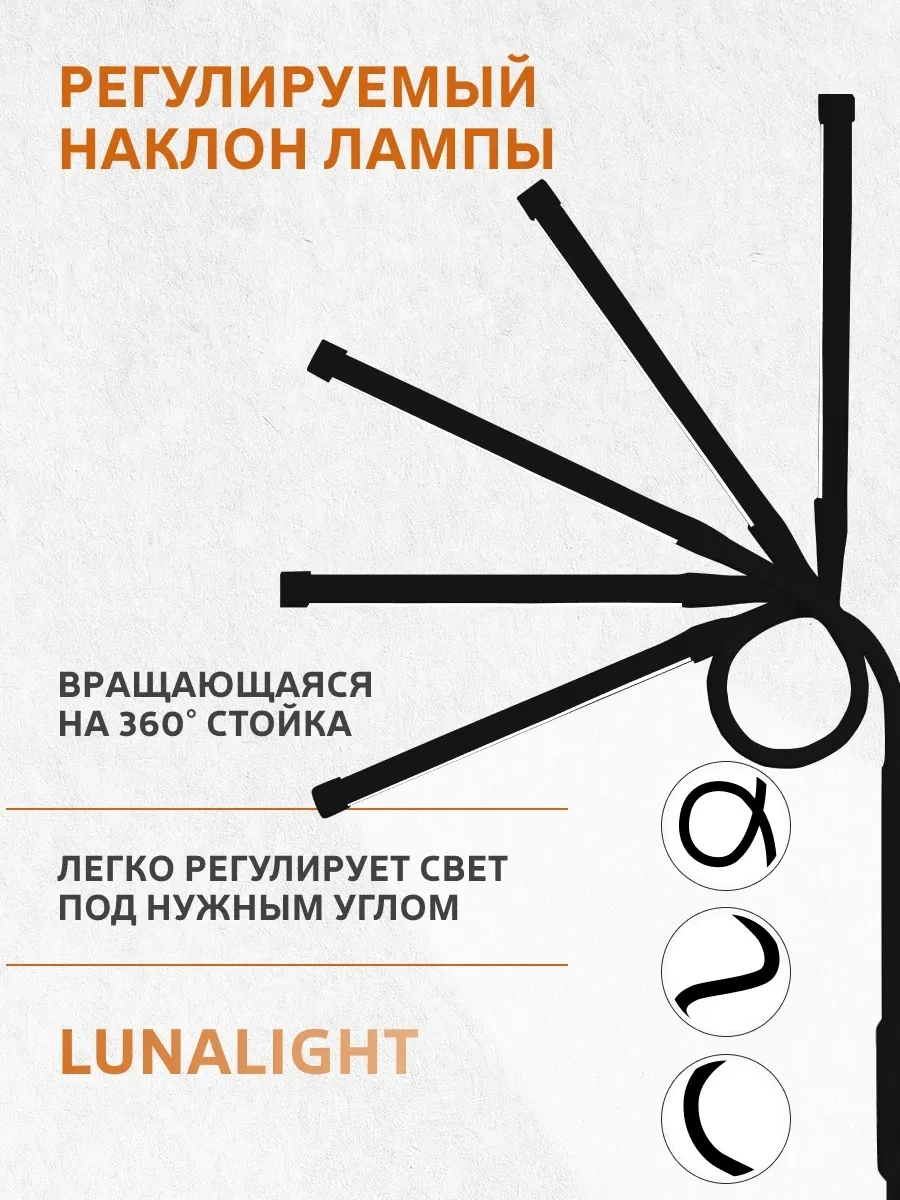 lt-b1_3